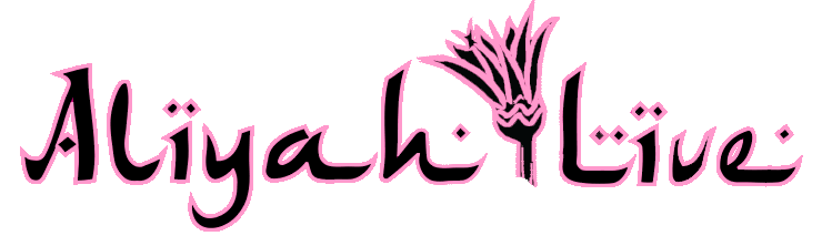 Aliyah Belly Dances at Twin Cities Restaurants, Bachelorette Parties, and Private or Corporate Events
