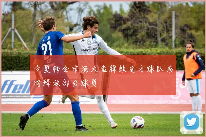 今夏转会市场大鱼稀缺南方球队或将释放部分球员