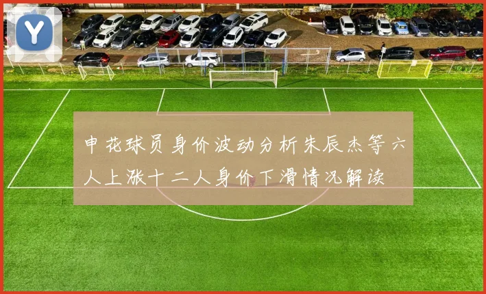 申花球员身价波动分析朱辰杰等六人上涨十二人身价下滑情况解读