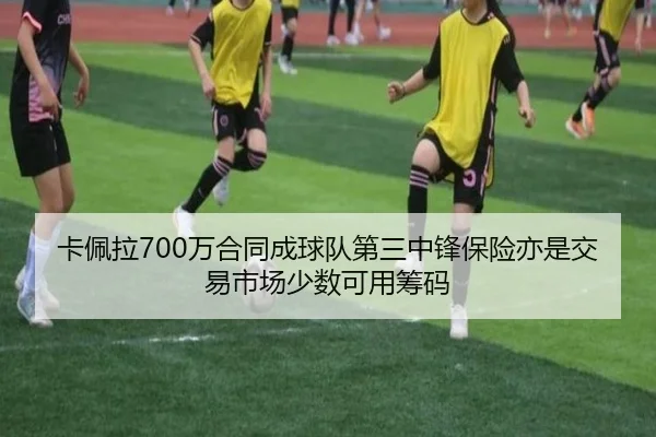 卡佩拉700万合同成球队第三中锋保险亦是交易市场少数可用筹码